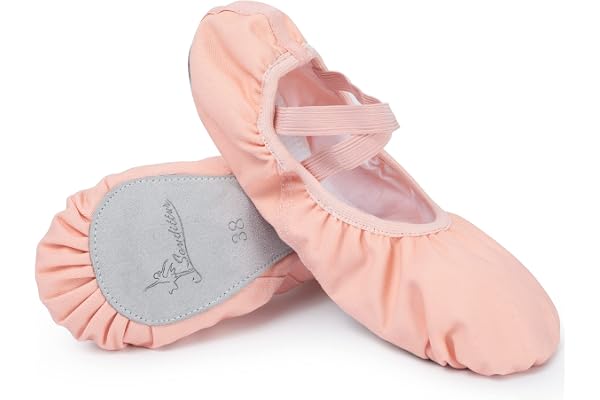 Chaussure de Danse Toile Classique Ballerine Chaussures Pilates Yoga Gymnastique Chaussons pour Filles Femmes