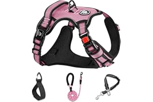 NESTROAD Imbracature con Pettorina Cane ad h Guinzaglio Antifuga Rosa per Cani di Taglia Grossa, Taglia L per Grande Cani con Collo 38~48CM Petto 48~74CM, Cintura Sicurezza
