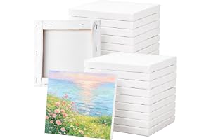 20 stycken målningsdukar 15 x 15 cm, målarduk, liten målningsduk, inramad duk, minimålning 100 % bomullsduk för oljemålning