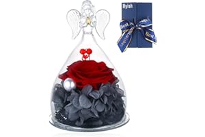 llyish Ewige Rose in Engel Glas Rot Konservierte Blume Geschenke für Frauen Mutter Freundin zum Geburtstag Jahrestag Muttertag Valentinstag Weihnachten