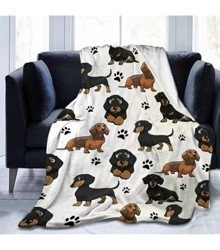 Plaid Pile Singolo 130x150 Simpatico Gatto Grigio, Coperta Caldo Morbido di Flanella Animali Domestici, Plaid Divano Comfort e Pelosa, Coperte da Letto Singola per Soggiorno