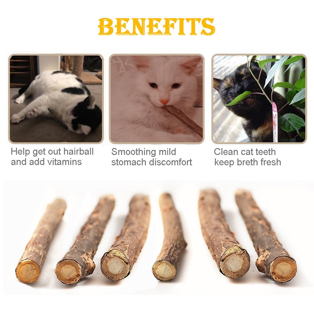 squeaky mouse on a stick cat toy