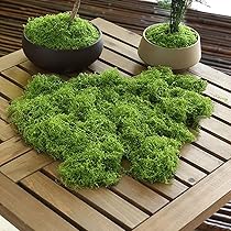 Carreuty Kunstmoos 200g Set - Dunkelgrün & Hellgrün Für Deko & Basteln