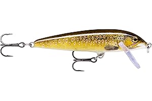 Rapala X-Rap CountDown Sinking Lure for Freshwater Fish Including Trout, Salmon, Perch, Zander and Pike.