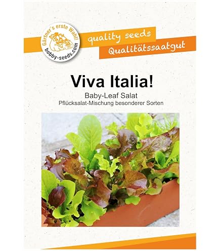 BIO-Salatsamen Catalogna Pflücksalat – 1 Portion Für Ca. 200 Pflanzen, Schosstolerant, Knackige Blätter