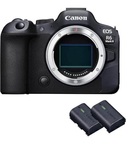 Nikon Z 5 full-frame spiegelloze camera (24,3 MP, hybride AF met 273 punten en focusassistent Nikon Z 5 full-frame spiegelloze camera (24,3 MP, hybride AF met 273 punten en focusassistent