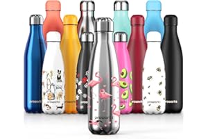PROWORKS 500ml Bottiglia Acqua in Acciaio Inox, Senza BPA Vuoto Isolato Borraccia Termica in Metallo per Bevande Calde per 12 Ore & Fredde 24 Ore, Borraccia Sport, Lavoro e Palestra 500 ml
