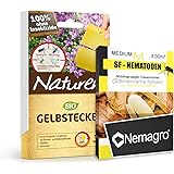 Nemagro KOMBIPACK gegen Trauermücken SF-Nematoden M + Naturen® Gelbtafeln - Für 15 Pflanzen