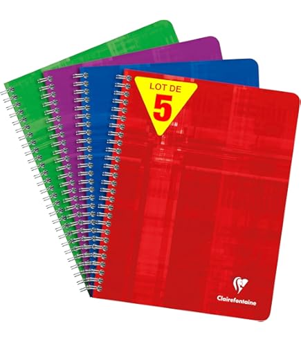 Clairefontaine 303210C Mimesys Geniet schrift - A4 29,27x21 cm - 40 Blad geruit 10x10 mm met