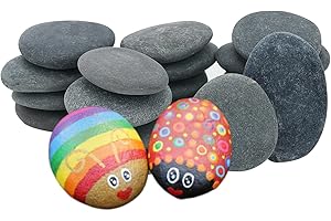 Deefongo 10Pcs pièces Pierres Plates à Peindre 7-9cm Galets Lisses pour Peinture, Galets Naturels, pour Dessin de Pierres Peintes, Décoration de Aquarium Jardin