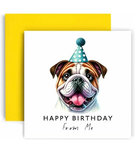 NotNiceThings Valentinstagskarte – Lustig Für Hundebesitzer, „Old And Wrinkly“, Für Sie & Ihn, Innen Unbeschriftet