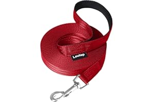 Loutep Longe pour Chien 5m 10m 15m 20m Longue Noir Nylon Longe Chien pour Chien avec Poignee Rembourree et Crochet Solide Laisses pour Chat Chiens de Compagnie Promenade Arrimage Jogging