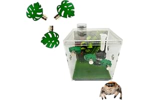 Heyshapeing 3 Pack Natural Wood Jumping Spider Enclosure Ledges with Magnets for Spoods Jumping Spiders Magnetic Jumping Spider Accessories (Leaf Shape)