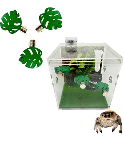 Cachette Magnétique Pour Araignées Sauteuses Et Geckos - Décoration Terrarium En Forme De Calebasse, 40 Cm