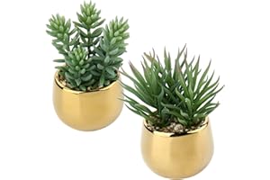Briful 2 PCS Fake Plants Artificial Succulent Plants, Faux Succulents in Geometric Gold Ceramic Pots Fake Succulent Indoor Plants for Home Office Bathroom Bedroom Decor
