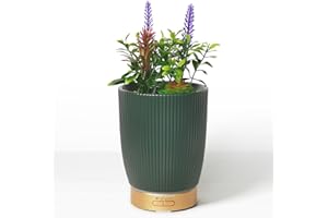 Earnest Living Aroma Diffuser