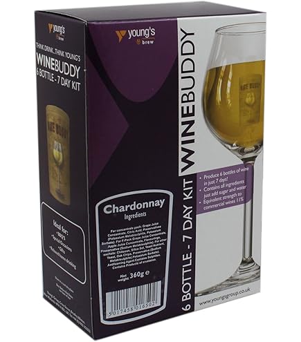 10 Best Wine Making Kits 2025 In The | There's One Clear Winner - Foto 7