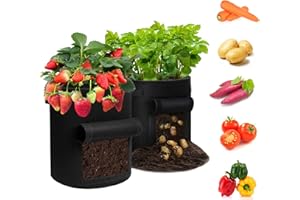 MoonSing Lot de 2 pots de fleurs en tissu non tissé de jardin avec fenêtre et poignées, récipient de culture pour pommes de terre, tomates, carottes, fraises et fraises (10 gallons)