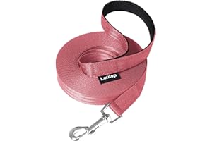 Loutep Trainingsleine für Hunde, 3 m, 5 m, 10 m, 15 m, 20 m, 25 m, 30 m, Starkes Nylonseil, extra Lange Leine, Hundeleine mit gepolstertem Griff für große, mittelgroße und kleine Welpen, Rückruf