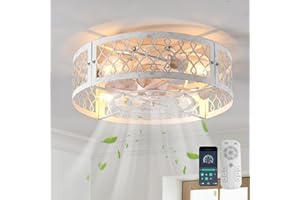 Ganeed Ventiladores de Techo con Luces Ventilador de Techo de Estilo Industrial 50cm Iluminación Metálica Enjaulada E27 Empotrado con Mando a Distancia Blanco 4 Luces