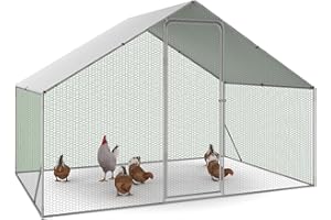 IDMarket Recinto per pollaio da 6 m² e 3 x 2 m, in acciaio zincato