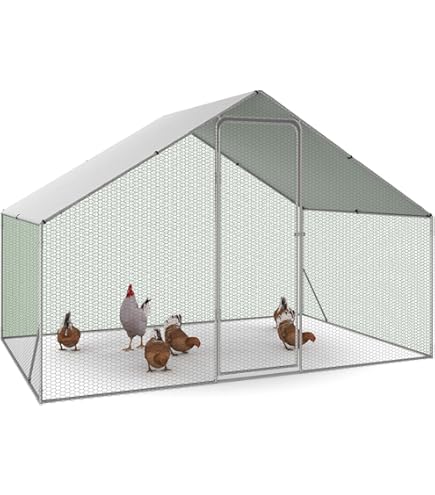 VOUNOT Houten kippenhok met loopstal en 2 nestzones, 190 x 100 x 64 cm, met 2 zitstangen en afsluitbare deuren, grote activiteitsruimte, ideaal voor 2 tot 3 kippen, kleine dieren konijnen
