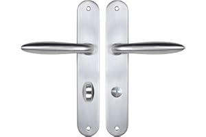Bricard 984056 984056-Juego de Asas (zamak sobre Placa de boceto, para Puerta de baño, Inodoro, condena, Plata