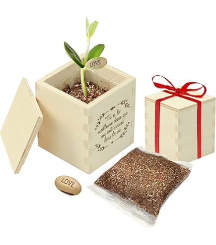 Feel Green Kit Prêt-à-Pousser - Cultive Ta Propre Licorne Magique 🌱🦄 - Cadeau Original Et Écologique