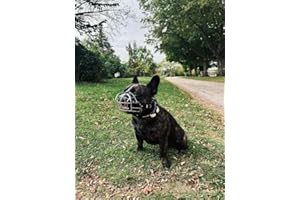 L&J PETS UK B1 Frenchies - Bozal de metal para perro francés (plata / cuero negro, B1 Frenchies)