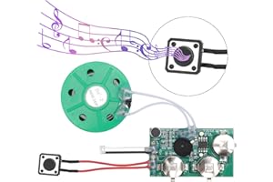 Garsent DIY Voice-GrußKartenmodul,4 Minuten DIY Beschreibbares GrußKartenmodul,Lichtempfindlicher Sprachaufzeichnungschip(Einzelspieler)