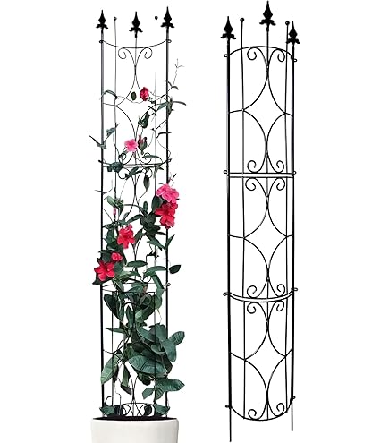 CLP Rankgitter Elisa 100x50cm - Metall Rankhilfe Für Kletterpflanzen Im Landhausstil