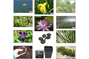 Lincolnshire Pond Plants Ltd - Pond Starter & Top up Packs - Oxygenating - Compost and Pots (Large)