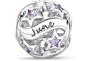 XWN Damen Charm Anhänger Sternzeichen für Armband 925 Sterling Silber 12 Sternbilder Charms Beads passend für Pandora Armband, Kompatibel mit Europäischen Armband und Halskette für Frauen Mädchen X251