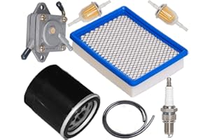 HIFROM Air Filter 1015426 with Oil Filter 1016467 Fuel Pump 1014523 Spark Plug Fuel Filter Line Tune Up Kit Compatible with Club Car 4-Cycle DS Gas Golf Cart Models 1992-up 290FE 350FE Engine