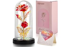 HOTOIQ Ewige Rose Geschenke für Frauen,Rose im Glas,Muttertagsgeschenke für Mama,Ewige Blume im Glas,Infinity Rosen Geschenk für Freundin Geburtstag zum Jahrestag/Valentinstag/Geburstag/Hochzeit