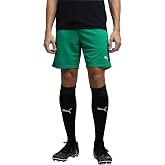PUMA Erkek Teamrise Kısa Şort