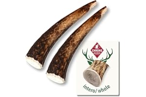 ChronoBalance-M Corno di Cervo per Cani, Confezione da 2, 100% Naturale, Pezzi Interi, Cura Dentale, Giocattolo per Cani, Ricco di Minerali e Nutrienti, Lunga Durata