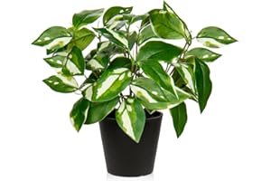 Oairse Piante finte da 30 cm, piante artificiali da interni con vasi neri, pianta decorativa in vaso finta realistica Pothos N' Joy per casa, bagno, soggiorno, cucina, ufficio, scrivania, mensole