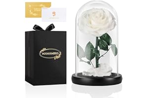 MAMAMIKO Ewige Rose im Glas, Weiße, Konservierte Echt Blume für 5 Jahre, Infinity Rose, Besondere Geschenk für Frauen, Freundin, Mutter, für Sie, zum Valentinstag, Jahrestag, Geburtstag, Muttertag