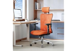 SIHOO Ergonomic Desk Chair, Computer Gaming Chair with Back Support, Executive Task Office Chair for home(Dark Orange)