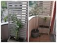 Nutri One One - Abono concentrado para plantas y flores, 1 litro ...