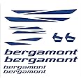 VVWV Bergamont Bicycle Stickers and Graphics for Cycle Body Mountain Bike Racing Combo Vinyl Die-Cut Decals Pack of 6 (Blue)