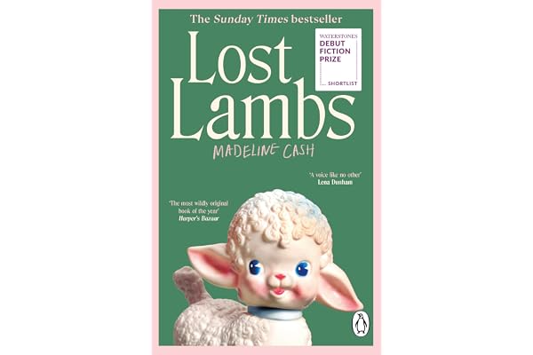 Lost Lambs - An instant Sunday Times bestseller, the best book you’ll read all year