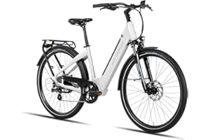 ‎DERUIZ DERUIZ 28Zoll Quartz & Marble E-Bike mit 644Wh großem Akku Rh 45cm 250W 55 Nm Heckmotor Trekking/City Pedelec für Damen und Herren maximal 150km Elektrofahrrad