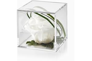 Petals and Roses Preserved Real Rose in Luxury Cube Display Box - Eternal Timeless Rose (White)
