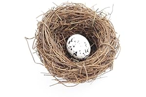 SEIWEI Nid d'oiseaux artificiels, nichoir à oiseaux, jardin, nature, artisanat, faux nid d'oiseau vintage, cage à oiseaux créative pour Pâques, décoration printanière, vitrine (6 cm)