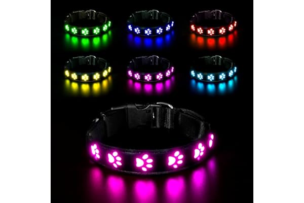 AUAUY LED Collier Lumineux pour Chiens, Lumière Collier Chien Rechargeable et Etanche, Collier de Réglable avec 7 Modes d'éclairage pour Petits/Moyens/Grands Chiens(Coloré-M)
