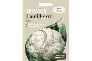 KEDBROK Unwins Pictorial Packet - Cauliflower Igloo - 75 Seeds
