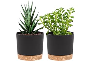 QCQHDU Bumentöpfe 2er Pack 12,7 cm,Bumentöpfe für Zimmerpflanzen mit Entwässerungslöchern und abnehmbarem Boden,Untersetzer Modern Dekorativ für Garten Pflanzgefäße im Freien(Dunkelgrau 12,7 cm)