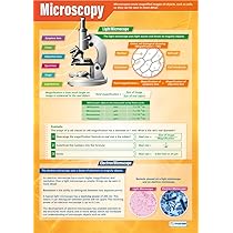 Daydream Education Microscopy | Science Posters | Laminated Gloss Paper Measuring 850mm X 594mm (A1) | Science Charts For The Classroom | Education Charts - View #10
